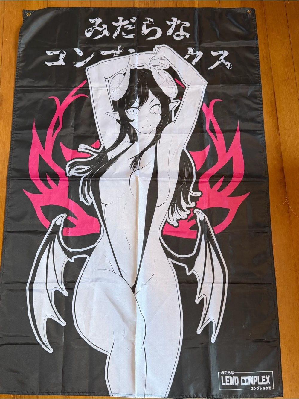 LEWD COMPLEX Erotic Succubus Wall Flag - Black, White & Hot Pink